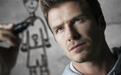 9博独家-五盾军团需要团结